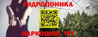 индика Волгодонск