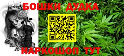 индика Волгодонск