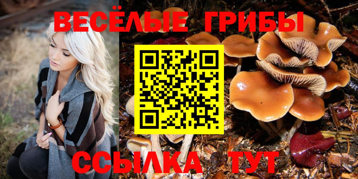 Псилоцибиновые грибы MAGIC MUSHROOMS  Псилоцибиновые грибы Psilocybe  Борисоглебск  Вход с VPN 